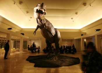 L’estinzione dei Liberi Professionisti