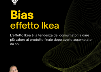 Bias IKEA effect